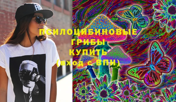 a pvp Арсеньев