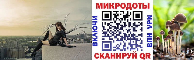 Купить где  Ряжск  Псилоцибиновые грибы мицелий 